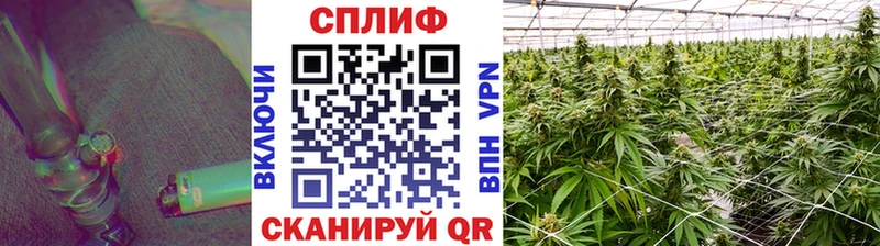 Купить наркотики сайты Пудож Канабис  НБОМе  Alpha PVP  MEGA зеркало  Cocaine  Меф мяу мяу 
