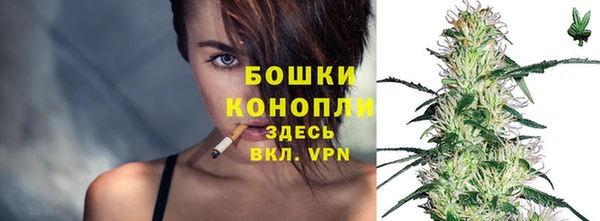 ПСИЛОЦИБИНОВЫЕ ГРИБЫ Пересвет