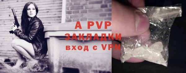 молекула духа Нягань