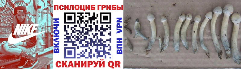 Галлюциногенные грибы Magic Shrooms  mega рабочий сайт  Пудож 